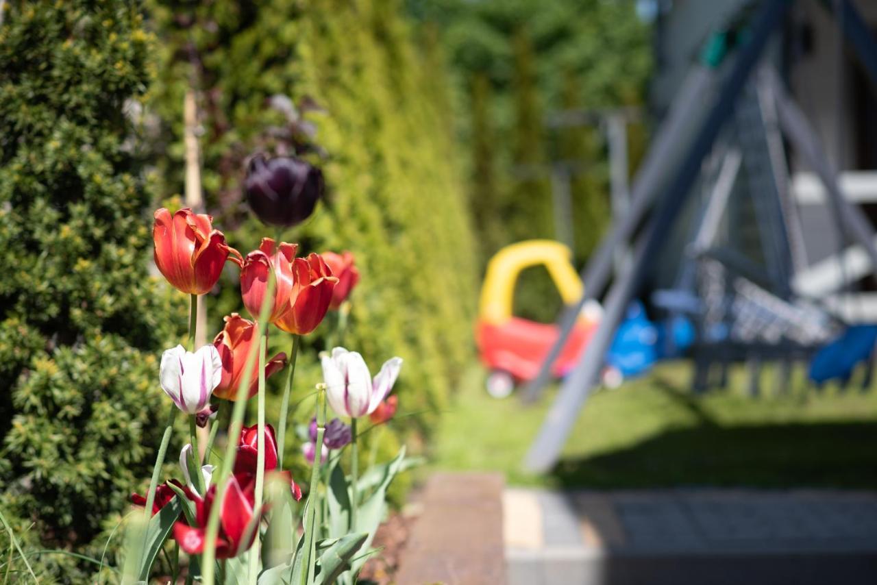 Domki Jelonek - Caloroczne, Ogrzewane, Klimatyzowane Wladyslawowo Bagian luar foto